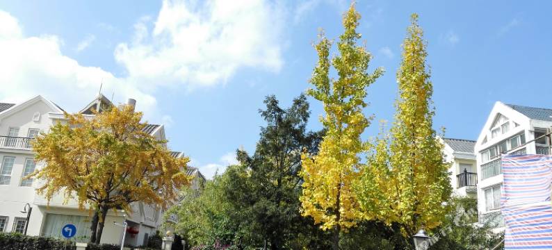 海岸之家别墅客栈(涉县北京味道店)图片