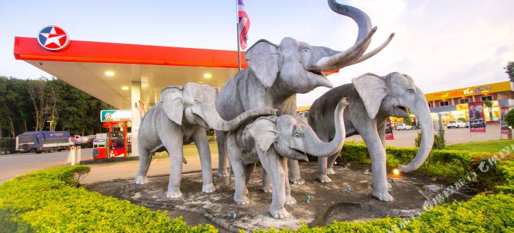 大象酒店(The Lephant Hotel)图片