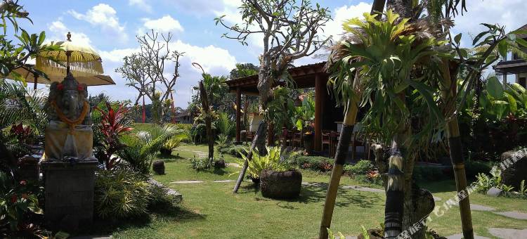 The Runik by GenuineHost图片