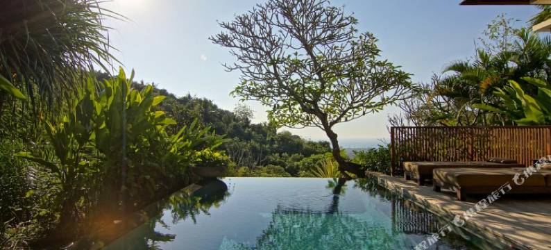 达麦罗威那别墅酒店(The Damai)图片