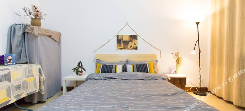 西安派对动物青年旅社图片