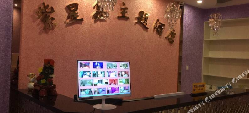 紫星鑫主题宾馆(汉阳客运站地铁站店)图片