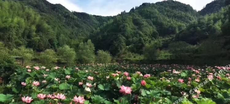祁门南山客栈图片