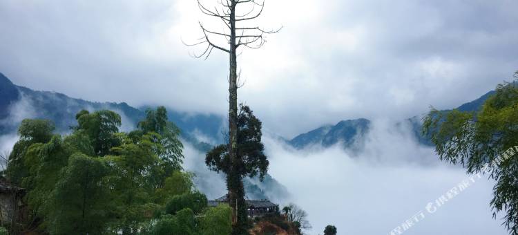 龙泉林趣家园住宿图片