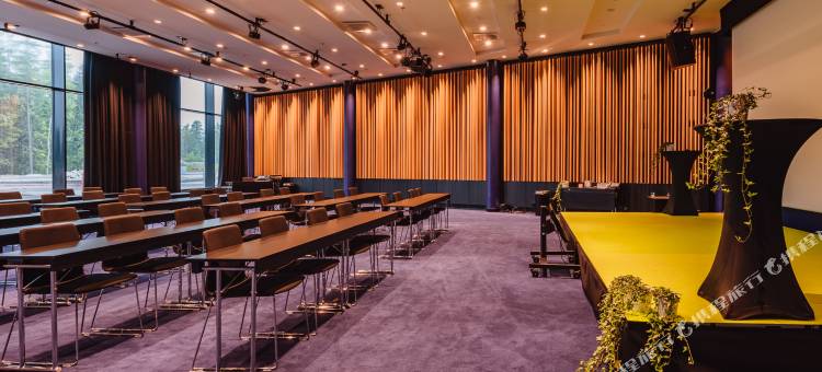 阿维安波利斯凯瑞华晟酒店(Clarion Hotel Aviapolis)图片