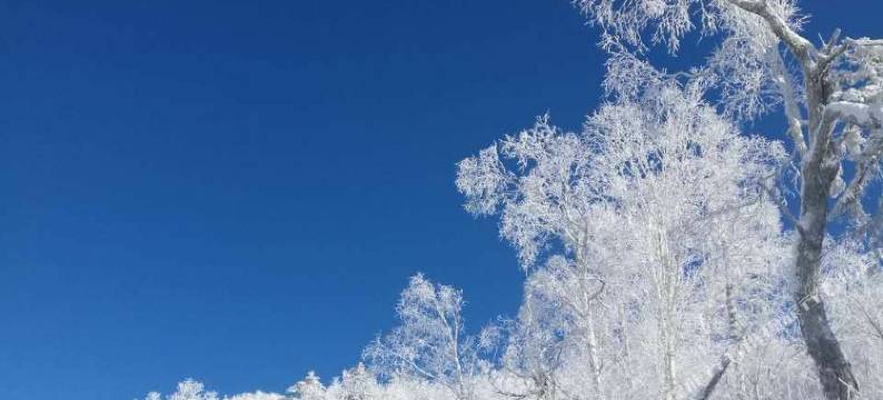 雪乡雪之情原始林家庭旅馆图片