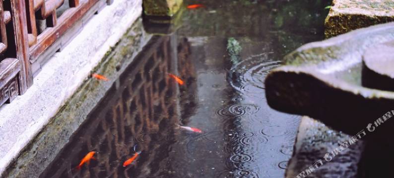 花筑·太守府官府民宿(黄山呈坎景区店)图片