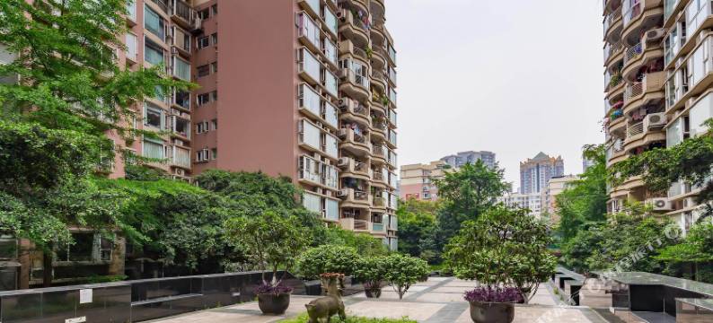 成都鱼鱼的书香之家普通公寓图片