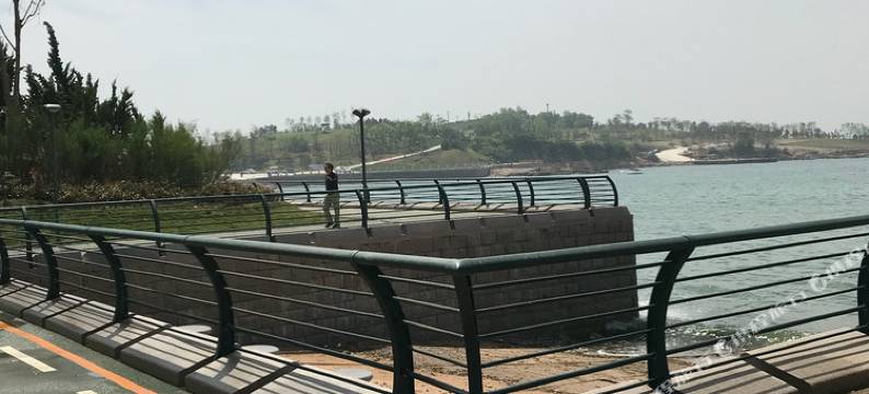 青岛五四广场旁海景公寓(麦岛路店)图片