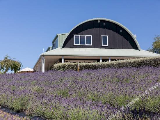 Coatesville薰衣草山