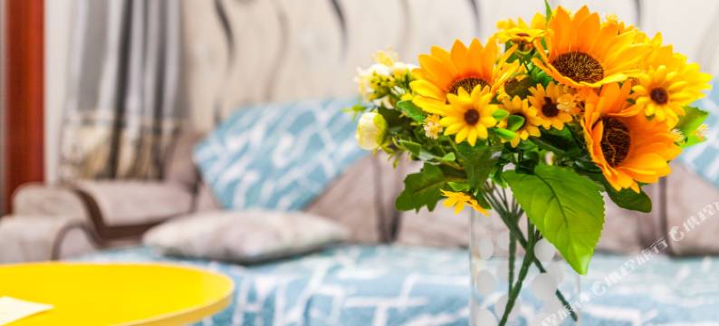 西安普罗旺斯的小窝公寓(延兴门南村分店)图片