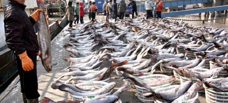 象山石浦富红客栈图片