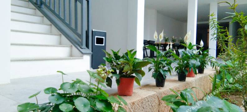 普者黑陋室名屋客栈图片