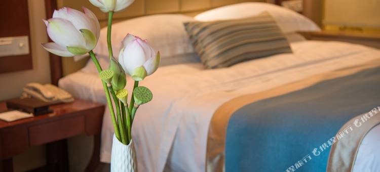 碧莲江景大酒店(阳朔西街漓江店)图片