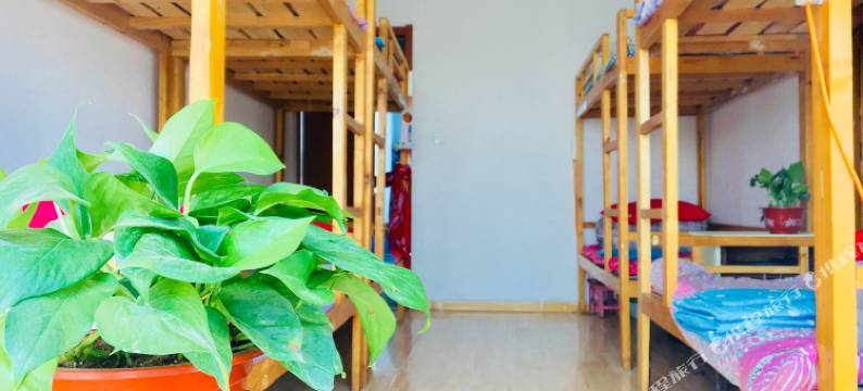 背包客太空舱青年旅舍(西宁莫家街店)图片