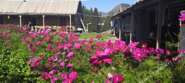 喀纳斯湖滨山庄(老村店)图片