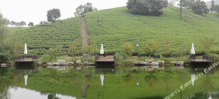极白帐篷客溪龙茶谷酒店图片