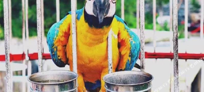 宽甸北方周庄度假村图片