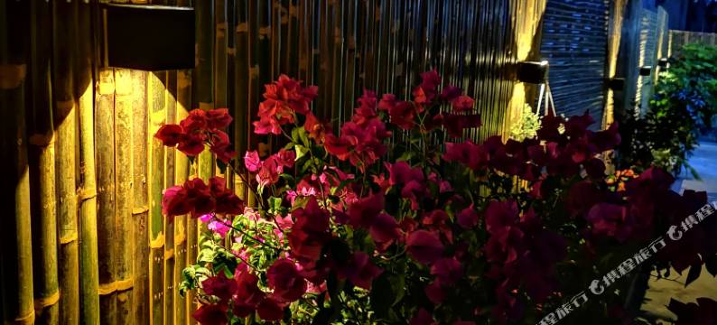 阳朔疏影阑珊客栈图片