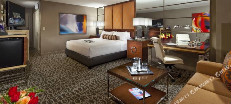 美高梅大酒店(MGM Grand Hotel and Casino)图片