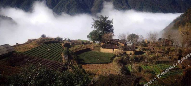 龙泉翠竹山庄农家乐图片