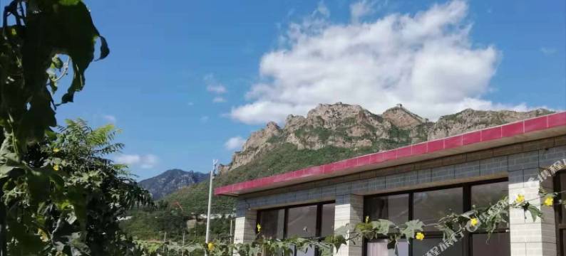 北京玉芹农家院图片