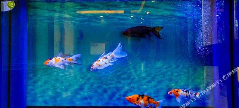 沈阳绿航快捷宾馆图片