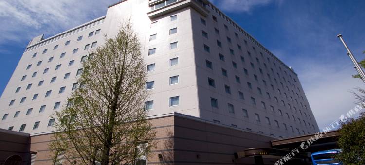 成田捷得威大饭店(Narita Gateway Hotel)图片