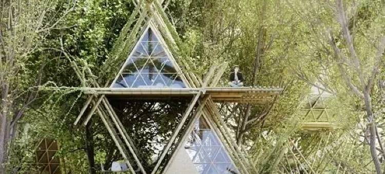 泾县河畔·章华家民宿图片