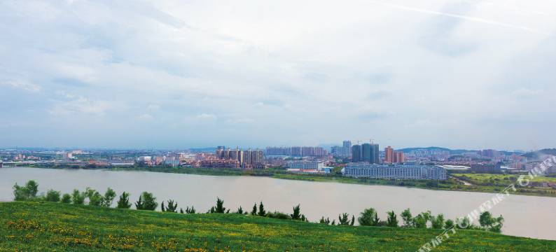 佛山新世界国际酒店图片