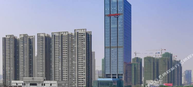 湛江人民大道希尔顿欢朋酒店图片