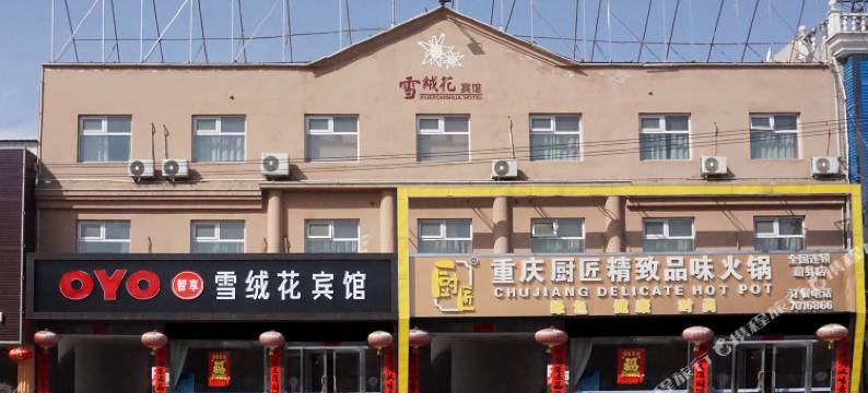 蔚县雪绒花宾馆图片