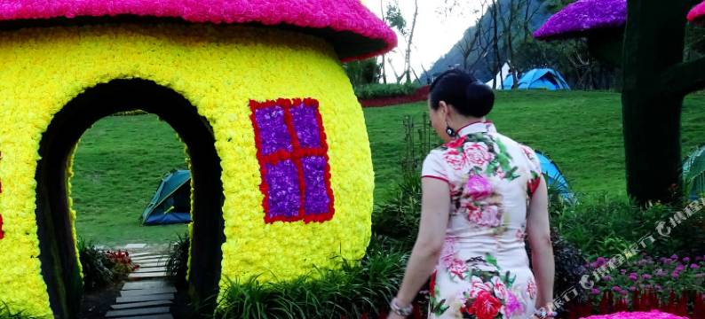 重庆云庐帐篷庭院图片