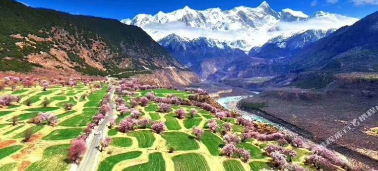 米林索松三忘花园客栈图片