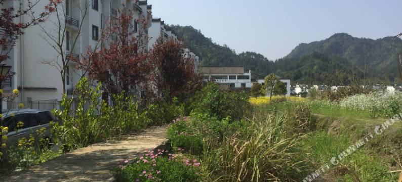 黄山徽州艺上公社图片