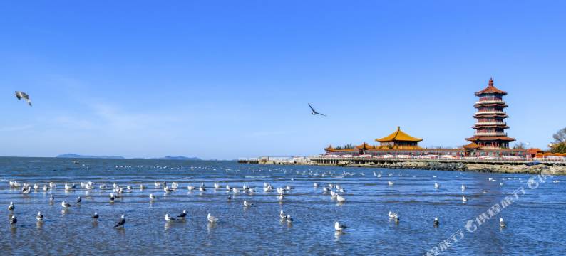 烟台豪华窗帘公寓图片