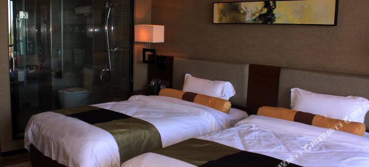 阳西沙扒湾星际海湾酒店图片