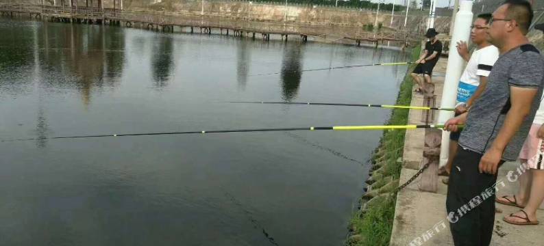 乐亭隐庐村舍民宿图片