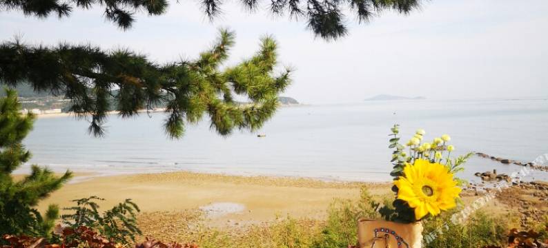 青岛海纳斯海景民宿图片