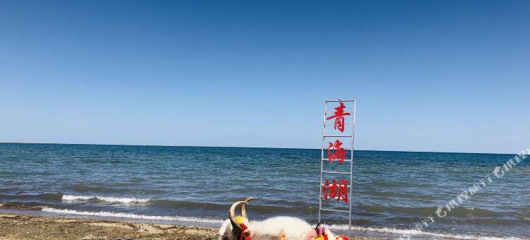 西宁陌上流年高级青旅民宿图片