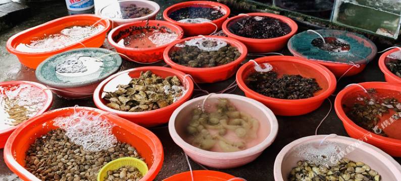 南麂岛美柳渔家乐酒店图片