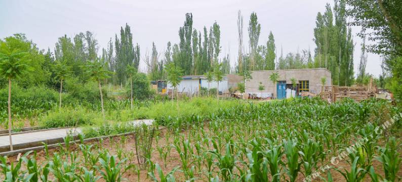 敦煌墨青客栈图片