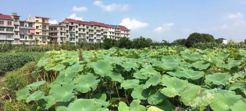 衢州金宏大酒店图片