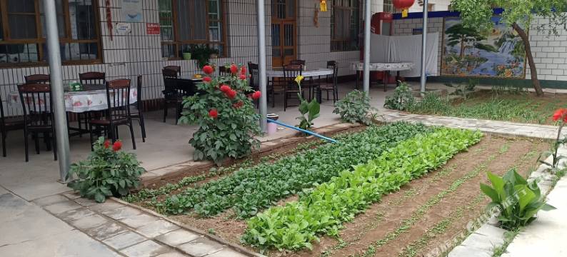 中卫聚来客农庄图片