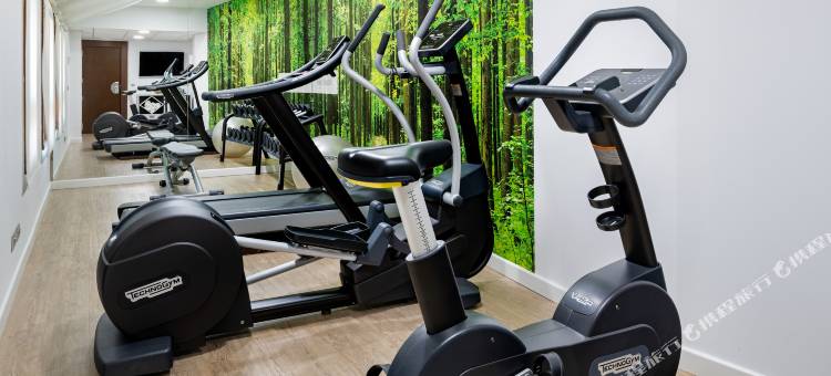 莱昂市长广场NH系列酒店(NH Collection Leon Plaza Mayor)图片