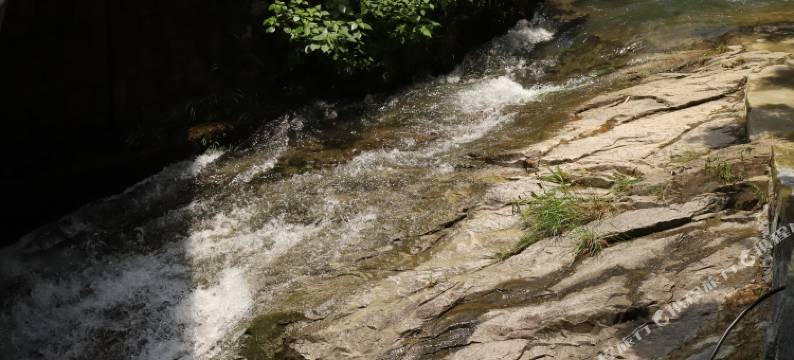 安吉钱江民宿图片