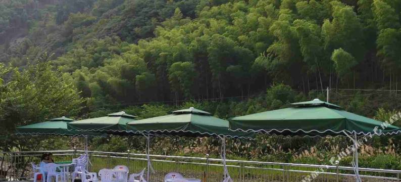 泾县熊出没民宿图片