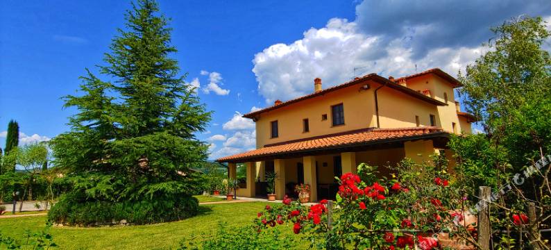 托斯卡纳图瑞毕卡住宿加早餐旅馆(Torrebianca Tuscany)图片