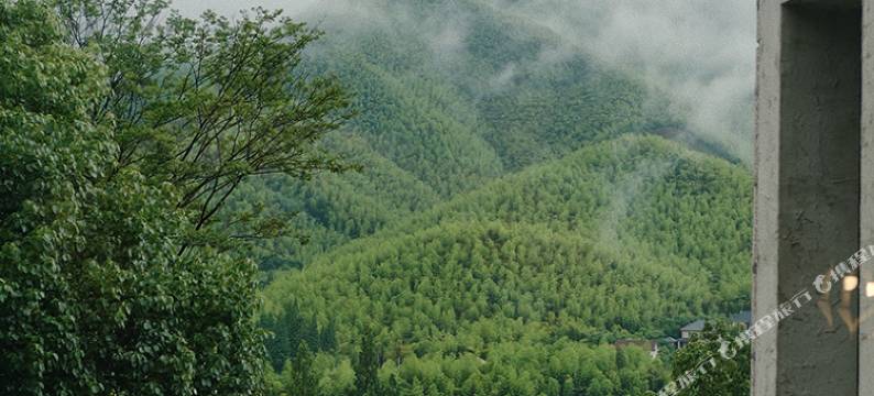 莫干·听山酒店图片