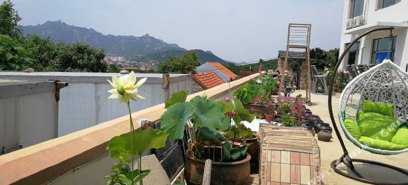 青岛自由行山海间(崂山景区店)图片